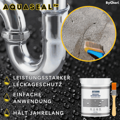 AquaSeal™ – Wasserdichte Dichtungsmasse gegen Risse & Lecks | 2x 30g Set