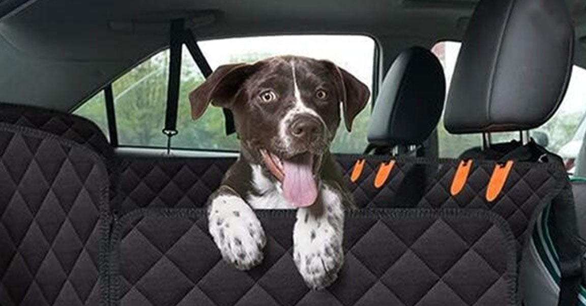 TrailPaws Pro Hundesitzbezug