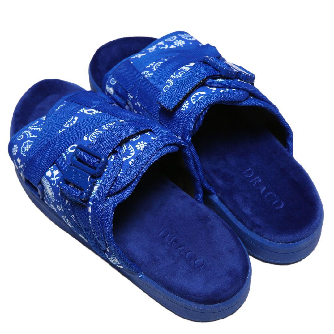 Bandanna DracoSlides