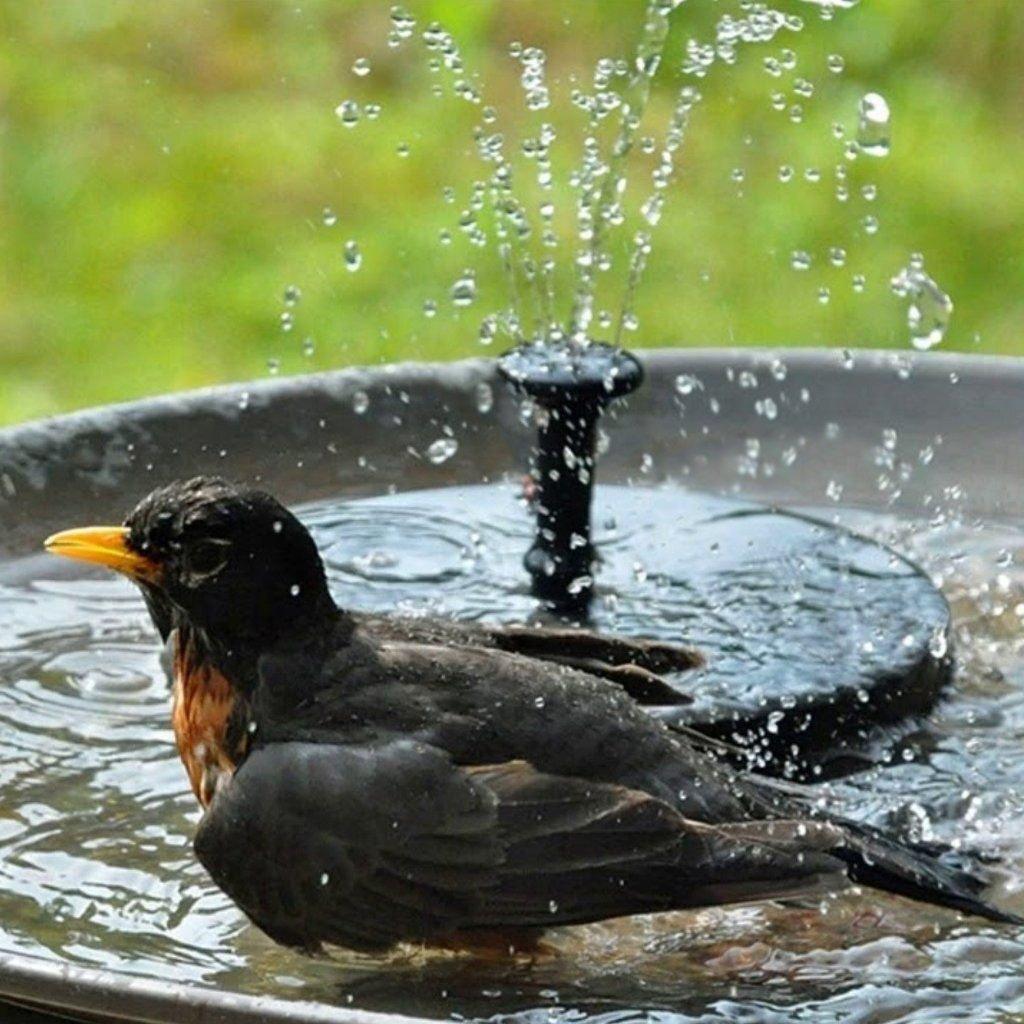 Solarbetriebene Wasserpumpe – Für Vogelbad, Teich & Gartendeko