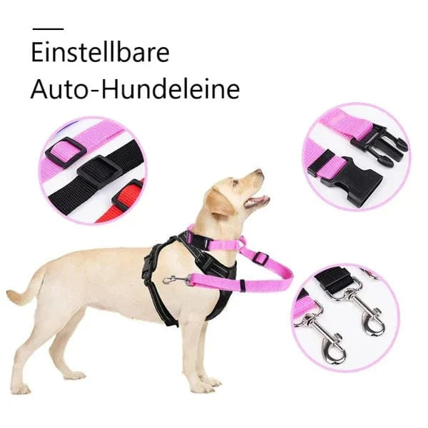 50% RABATT | AutoPaws™ - Verstellbare Auto-Hundeleine [Letzter Tag Rabatt]