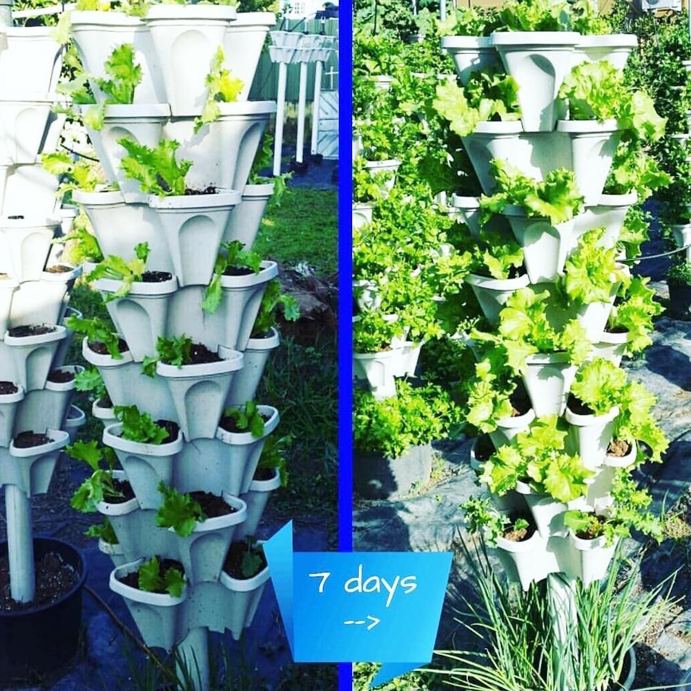 50% RABATT | FlowerTower™ - Vertikal stapelbare Pflanzgefäße! [Letzter Tag Rabatt]